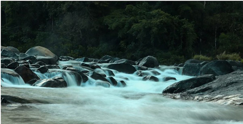 Suối Tranh - Vườn quốc gia Phước Bình